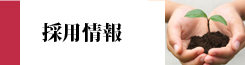 求人・採用