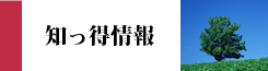 知っ得情報